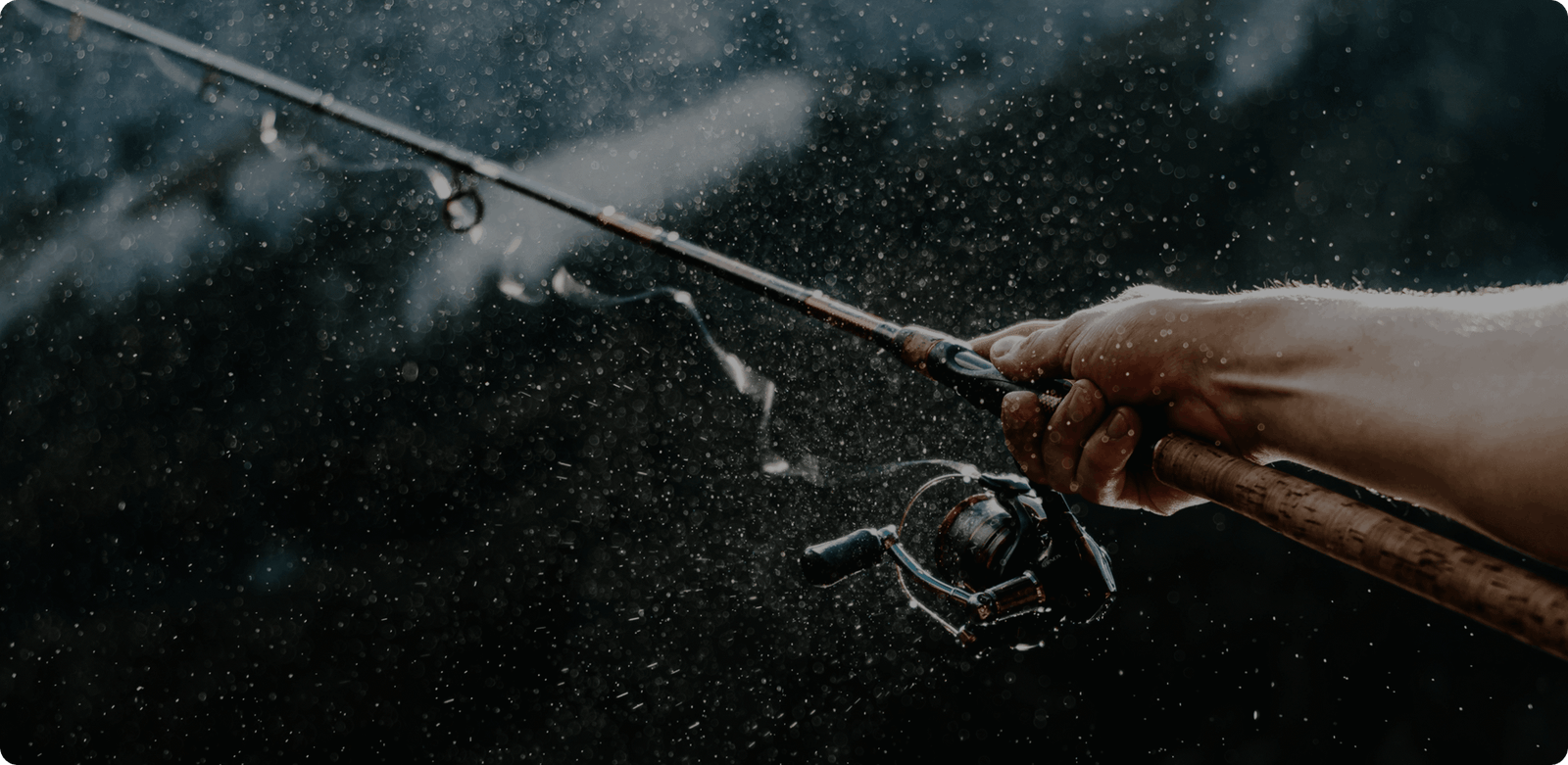 Daniel Diesenreither Nyp AD316QI Unsplash 2 1 Scaled