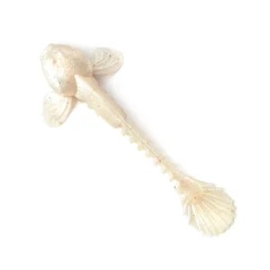 Fanatik Goby Soft Plastic Bait - 3.5" - Color 025